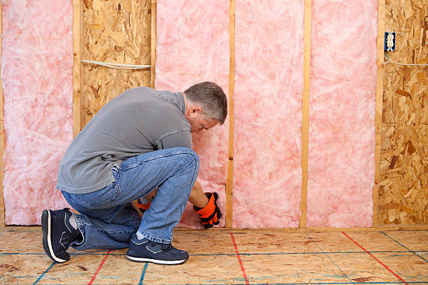 Best Insulation Installation Services in Deltona, FL